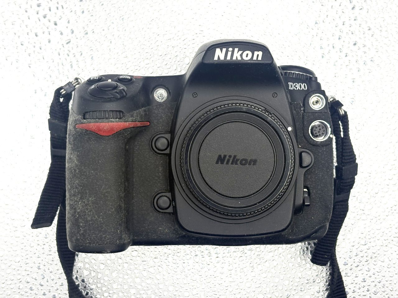Nikon D300 - Image 4