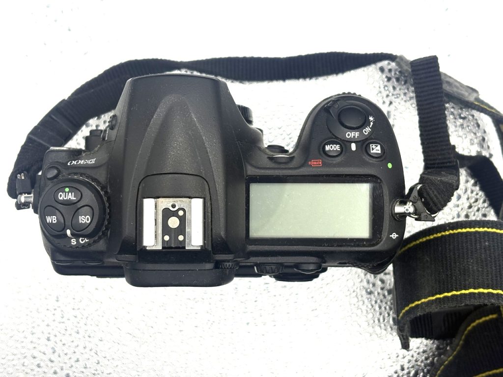 Nikon D300
