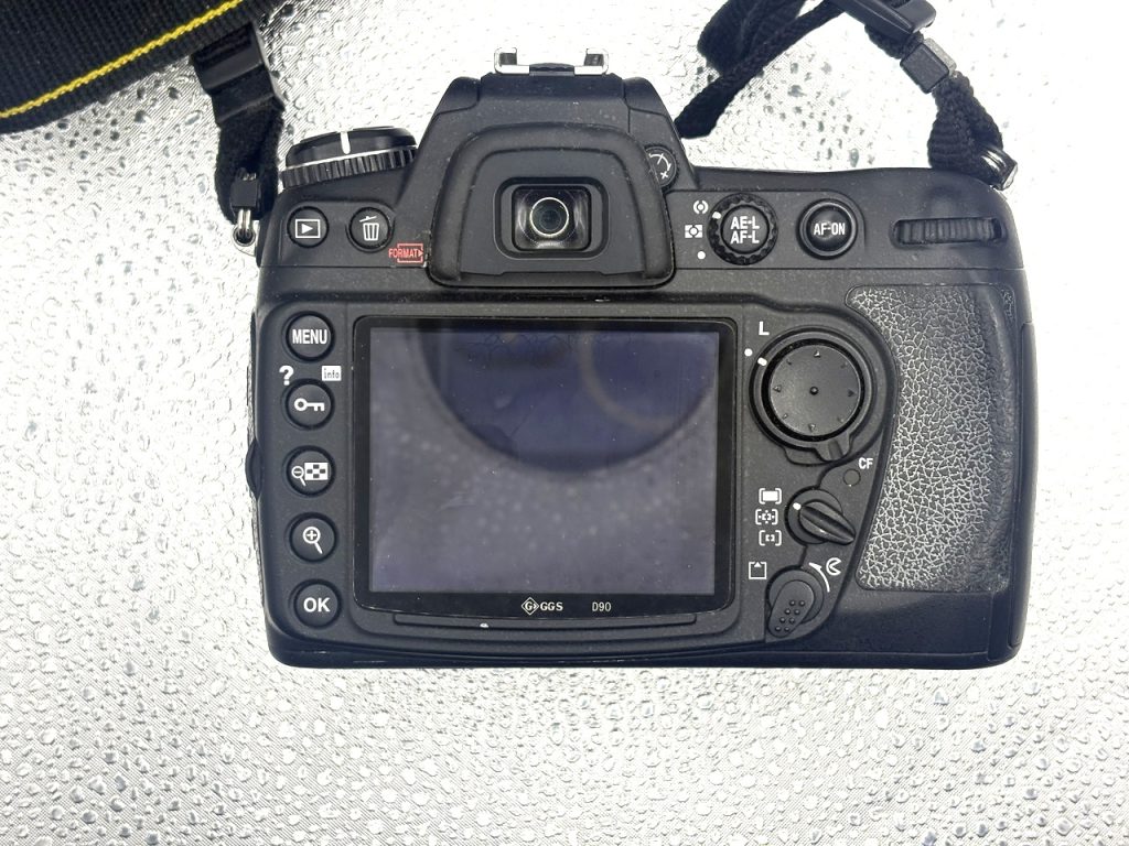 Nikon D300
