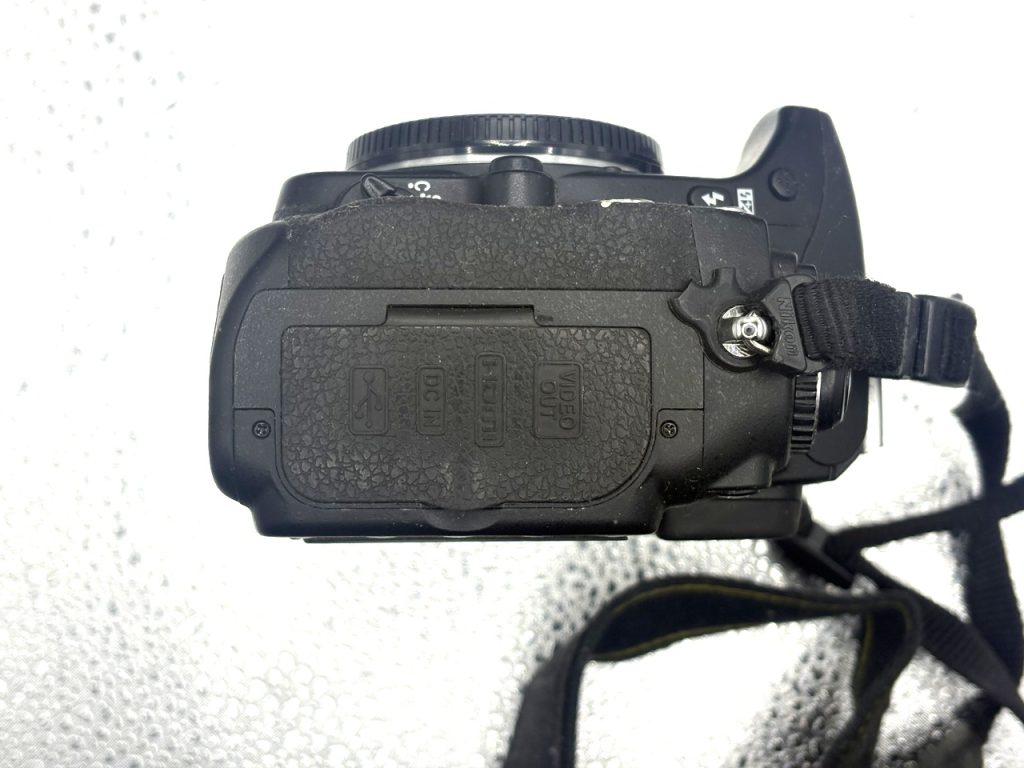 Nikon D300