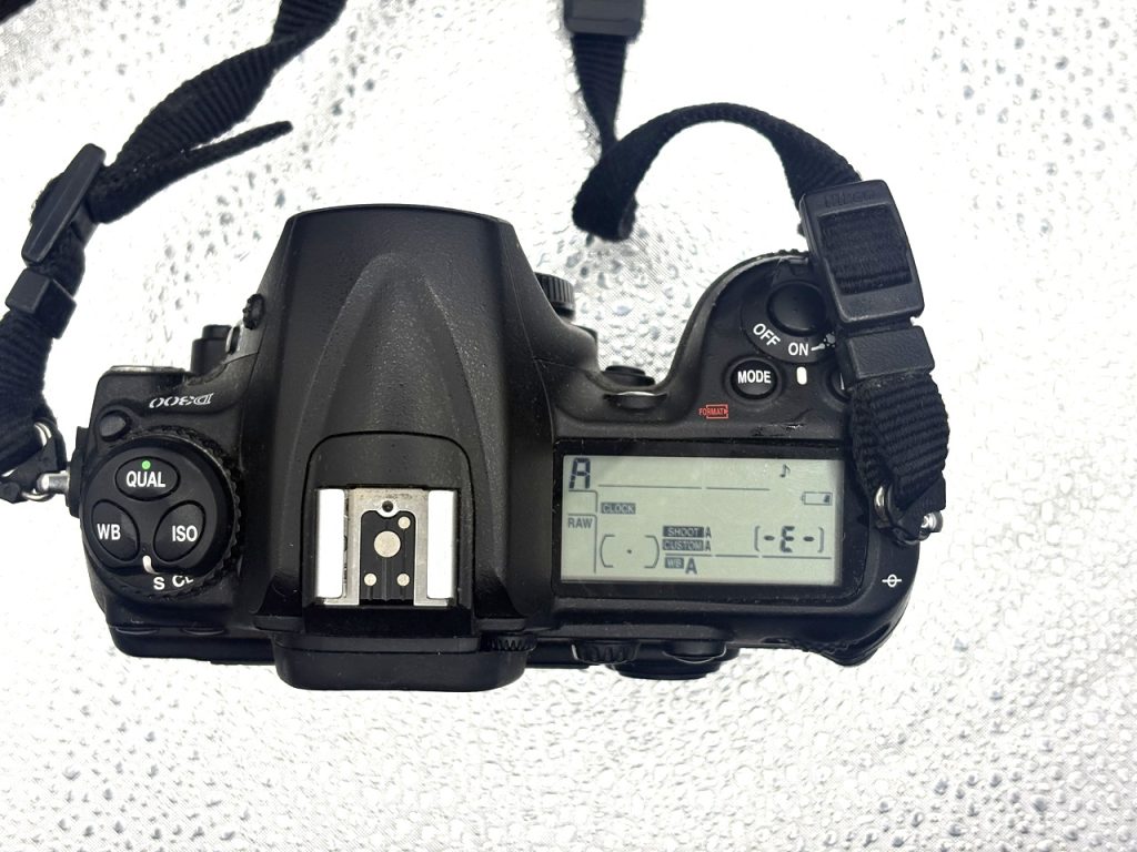 Nikon D300