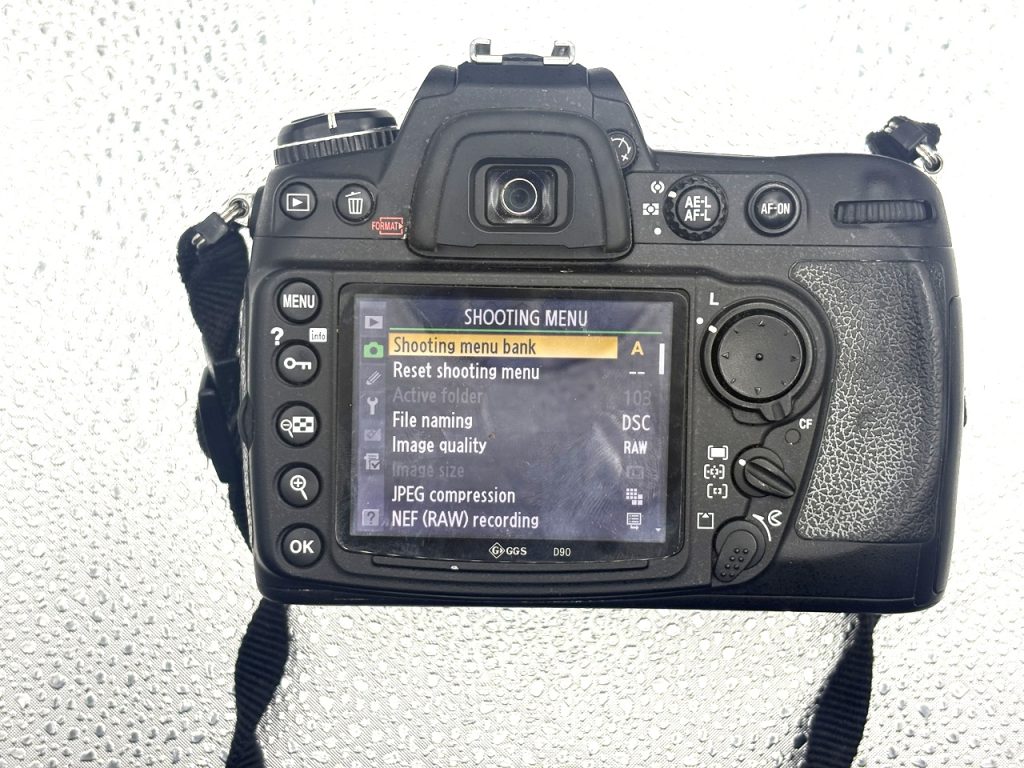 Nikon D300