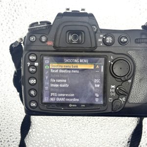 Nikon D300 - Image 15